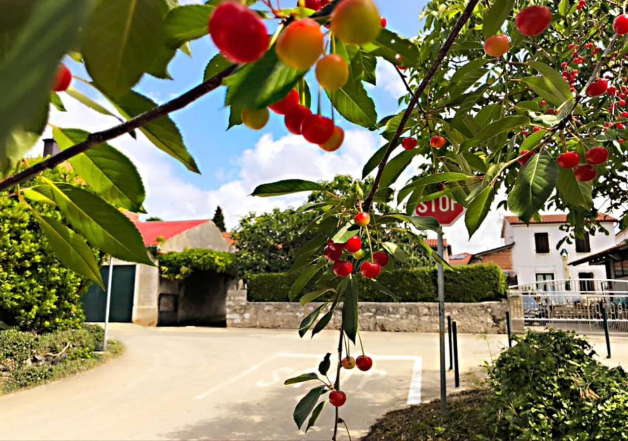 Apartamento App Milija Rovinj Exterior foto