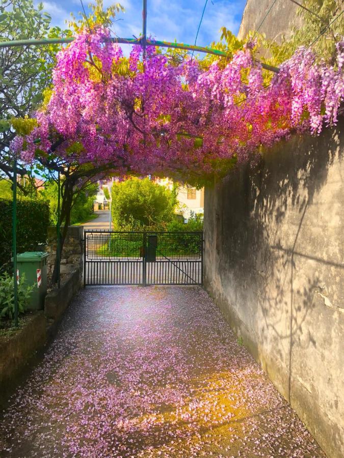 Apartamento App Milija Rovinj Exterior foto