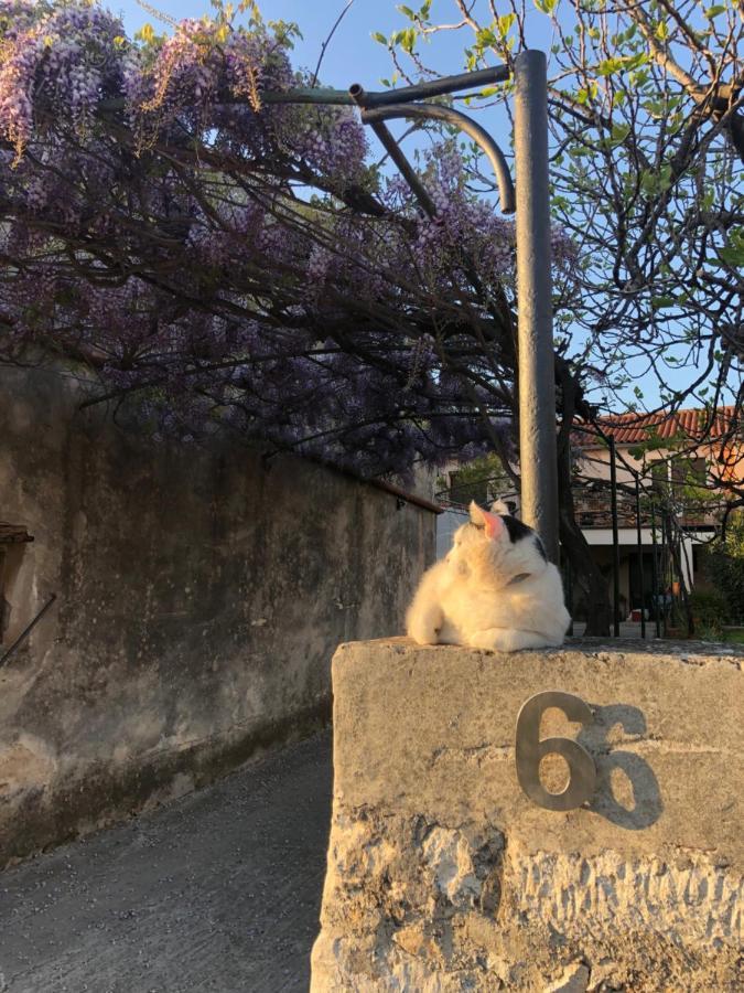 Apartamento App Milija Rovinj Exterior foto
